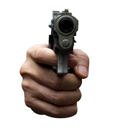 Gun pov Blank Meme Template