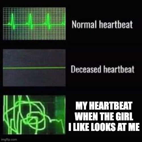 All men will be able to relate | MY HEARTBEAT WHEN THE GIRL I LIKE LOOKS AT ME | image tagged in heartbeat rate,memes,relatable,funny,fun,girls | made w/ Imgflip meme maker