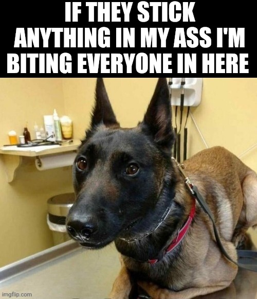 If They Stick Anything In My Ass I'm Biting Everyone In Here | IF THEY STICK ANYTHING IN MY ASS I'M BITING EVERYONE IN HERE | image tagged in chrisjoines1 | made w/ Imgflip meme maker