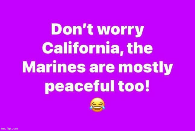 Marines | image tagged in political,reposts | made w/ Imgflip meme maker