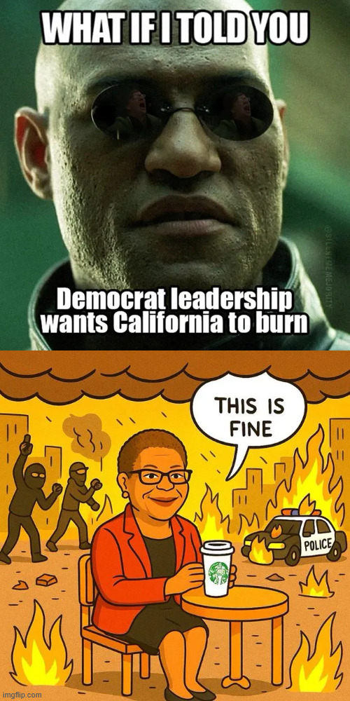 dems do not care about Americans | image tagged in dems,want,california to burn | made w/ Imgflip meme maker