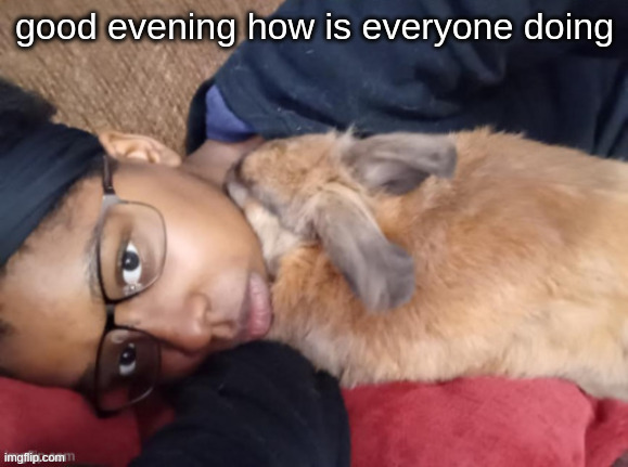 good evening how is everyone doing | made w/ Imgflip meme maker