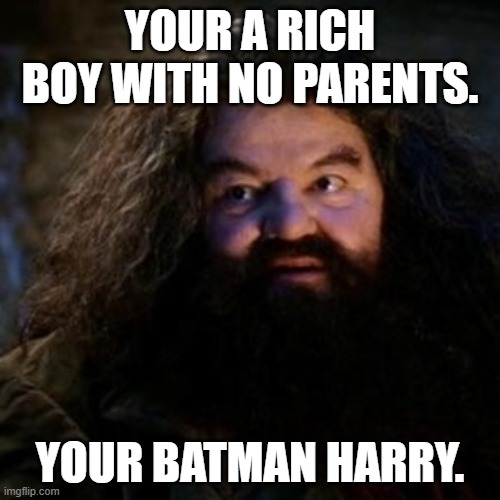 You're a wizard harry | YOUR A RICH BOY WITH NO PARENTS. YOUR BATMAN HARRY. | image tagged in you're a wizard harry | made w/ Imgflip meme maker