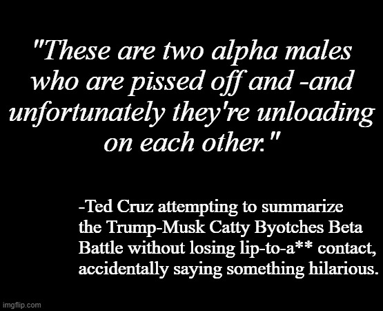 Huh... looks like Ted Cruz does celebrate Pride Month in his own weaselly li'l way... | "These are two alpha males
who are pissed off and -and
unfortunately they're unloading
on each other."; -Ted Cruz attempting to summarize
the Trump-Musk Catty Byotches Beta
Battle without losing lip-to-a** contact,
accidentally saying something hilarious. | image tagged in short black template,donald trump,elon musk,100 percent betas,pride month | made w/ Imgflip meme maker
