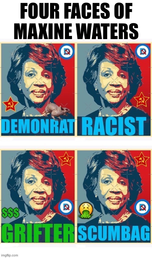 They’re all the same hideous, leathery face… | image tagged in political meme,maxine waters,four faces,demonrat | made w/ Imgflip meme maker
