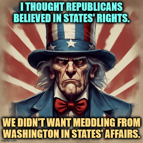 Especially voting. | I THOUGHT REPUBLICANS BELIEVED IN STATES' RIGHTS. WE DIDN'T WANT MEDDLING FROM WASHINGTON IN STATES' AFFAIRS. | image tagged in america,uncle sam,republicans,states rights,washington dc,voting | made w/ Imgflip meme maker