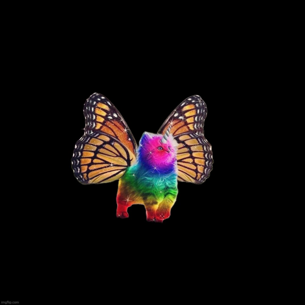 Blank Transparent Square Meme | image tagged in memes,blank transparent square | made w/ Imgflip meme maker