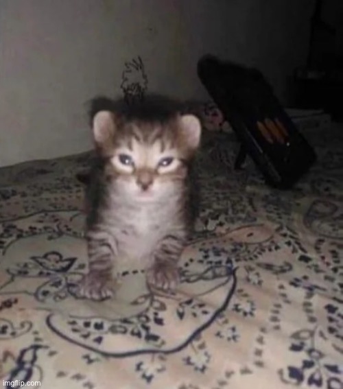 Herbert’s sister | image tagged in herbert s sister | made w/ Imgflip meme maker