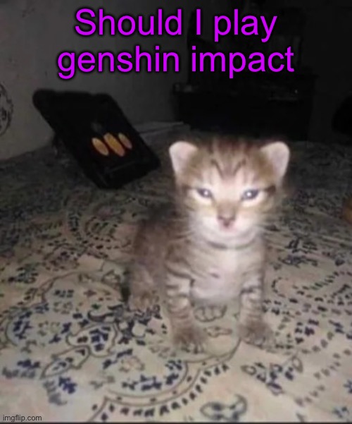 Herbert’s brother | Should I play genshin impact | image tagged in herbert s brother | made w/ Imgflip meme maker