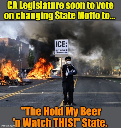 Cuz 'The Land of Fruits 'n Nuts" is soooo 1980's. | CA Legislature soon to vote on changing State Motto to... "The Hold My Beer 'n Watch THIS!" State. | made w/ Imgflip meme maker