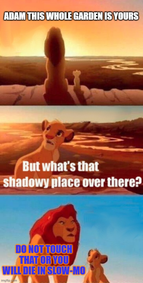 Simba Shadowy Place | ADAM THIS WHOLE GARDEN IS YOURS; DO NOT TOUCH THAT OR YOU WILL DIE IN SLOW-MO | image tagged in memes,simba shadowy place | made w/ Imgflip meme maker
