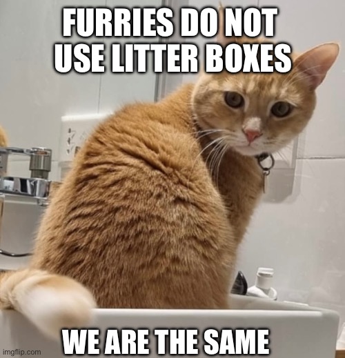 Enlightened cat | FURRIES DO NOT 
USE LITTER BOXES; WE ARE THE SAME | image tagged in hello there | made w/ Imgflip meme maker