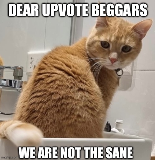 Upvote beggars | DEAR UPVOTE BEGGARS; WE ARE NOT THE SANE | image tagged in the embarrassed cat 2 0 | made w/ Imgflip meme maker