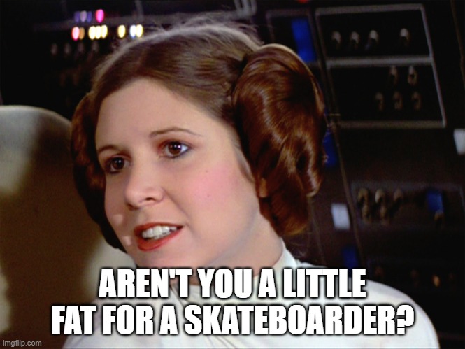 AREN'T YOU A LITTLE FAT FOR A SKATEBOARDER? | image tagged in princess leia too easy | made w/ Imgflip meme maker