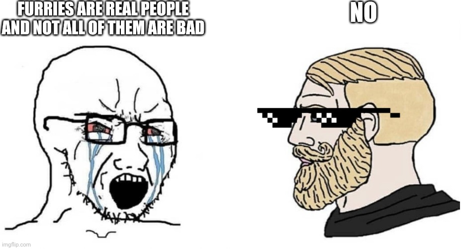 crying wojak vs chad | FURRIES ARE REAL PEOPLE AND NOT ALL OF THEM ARE BAD; NO | image tagged in crying wojak vs chad | made w/ Imgflip meme maker