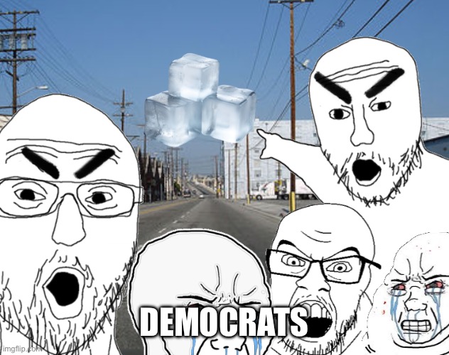 Dems be like. | DEMOCRATS | image tagged in npc,karen,police | made w/ Imgflip meme maker