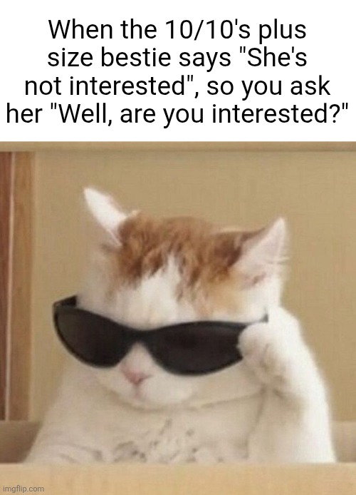 *-* | When the 10/10's plus size bestie says "She's not interested", so you ask her "Well, are you interested?" | image tagged in cool cat,memes,rizz,funny,dank memes,msmg | made w/ Imgflip meme maker