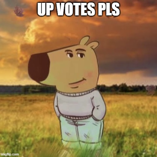 Chill guy | UP VOTES PLS | image tagged in chill guy | made w/ Imgflip meme maker
