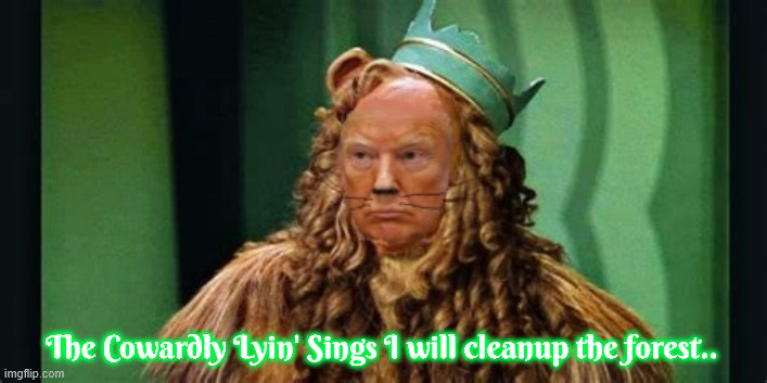 Trump I will cleanup the forest | The Cowardly Lyin' Sings I will cleanup the forest.. | image tagged in trump i will cleanup the forest,cowardly lyin' sings,rake around the trees,a little fish,non compos mentis,delusions of grandeur | made w/ Imgflip meme maker