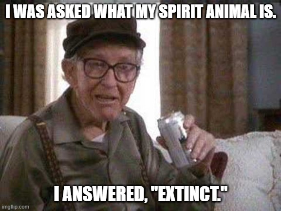 Young whippersnapper. | I WAS ASKED WHAT MY SPIRIT ANIMAL IS. I ANSWERED, "EXTINCT." | image tagged in grumpy old man,spirit animal,question,extinction,stand up comedian,youtube | made w/ Imgflip meme maker