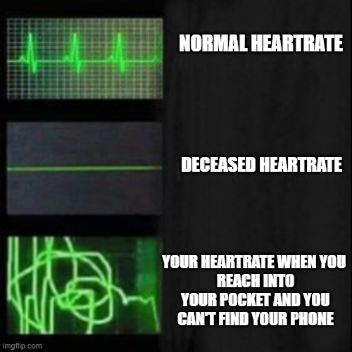 Leave it blank, please | NORMAL HEARTRATE; DECEASED HEARTRATE; YOUR HEARTRATE WHEN YOU 
REACH INTO YOUR POCKET AND YOU
CAN'T FIND YOUR PHONE | image tagged in leave it blank please | made w/ Imgflip meme maker