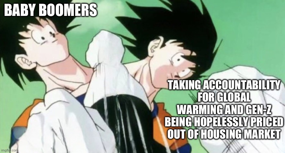 Goku dodging | BABY BOOMERS; TAKING ACCOUNTABILITY FOR GLOBAL WARMING AND GEN-Z BEING HOPELESSLY PRICED OUT OF HOUSING MARKET | image tagged in goku dodging | made w/ Imgflip meme maker