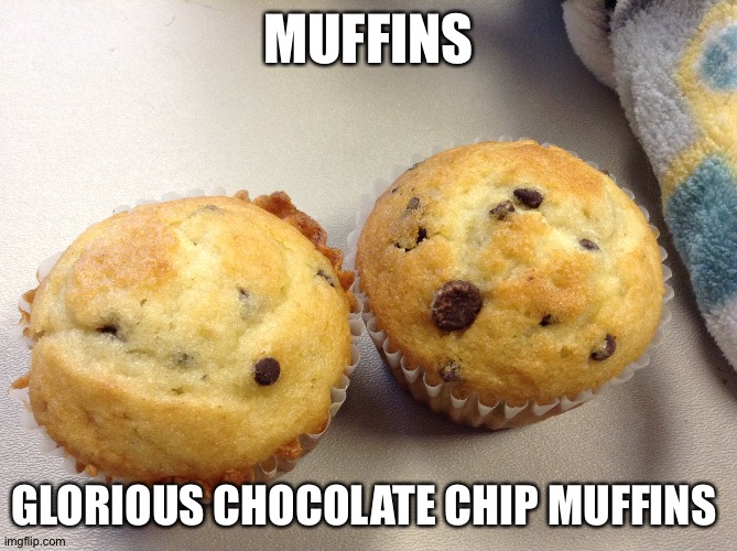 Choccy Chip Anyone? | MUFFINS; GLORIOUS CHOCOLATE CHIP MUFFINS | image tagged in muffins | made w/ Imgflip meme maker
