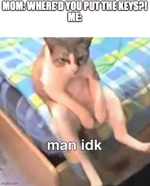 man idk | MOM: WHERE'D YOU PUT THE KEYS?!
ME: | image tagged in man idk | made w/ Imgflip meme maker