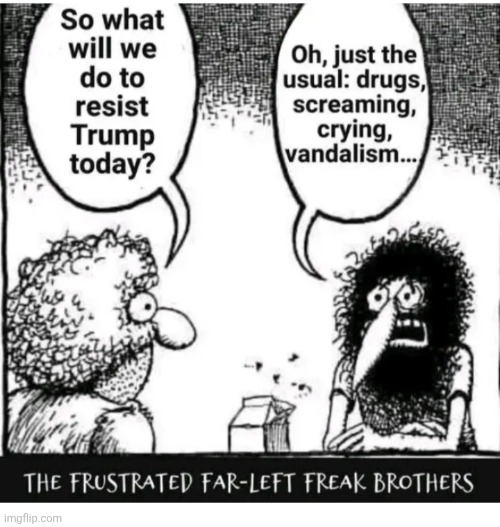 Same ol' same ol' | image tagged in libtards,morons,losers | made w/ Imgflip meme maker