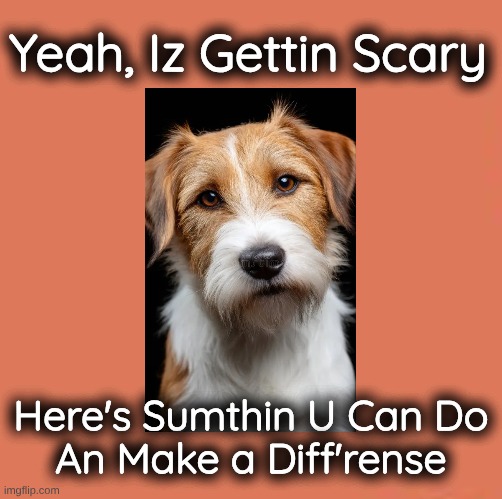 Terrier Make Diffrense | Yeah, Iz Gettin Scary; Here's Sumthin U Can Do
An Make a Diff'rense | image tagged in terrier make diffrense,terrier gettin scary | made w/ Imgflip meme maker
