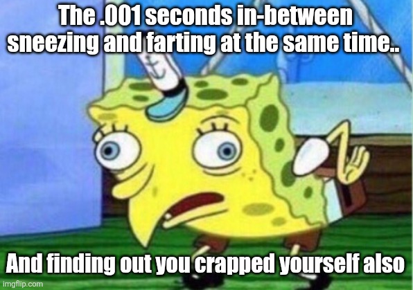 Mocking Spongebob | The .001 seconds in-between sneezing and farting at the same time.. And finding out you crapped yourself also | image tagged in memes,mocking spongebob,accident,poop,sneezing | made w/ Imgflip meme maker