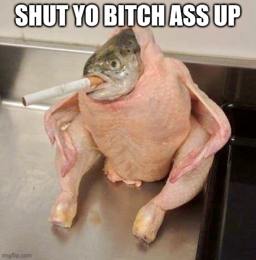 Smoking Ficken | SHUT YO BITCH ASS UP | image tagged in smoking ficken | made w/ Imgflip meme maker