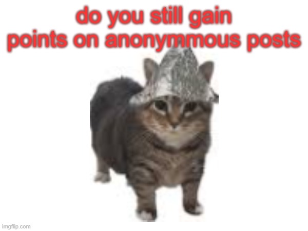 beat my dih in the shower | do you still gain points on anonymmous posts | made w/ Imgflip meme maker