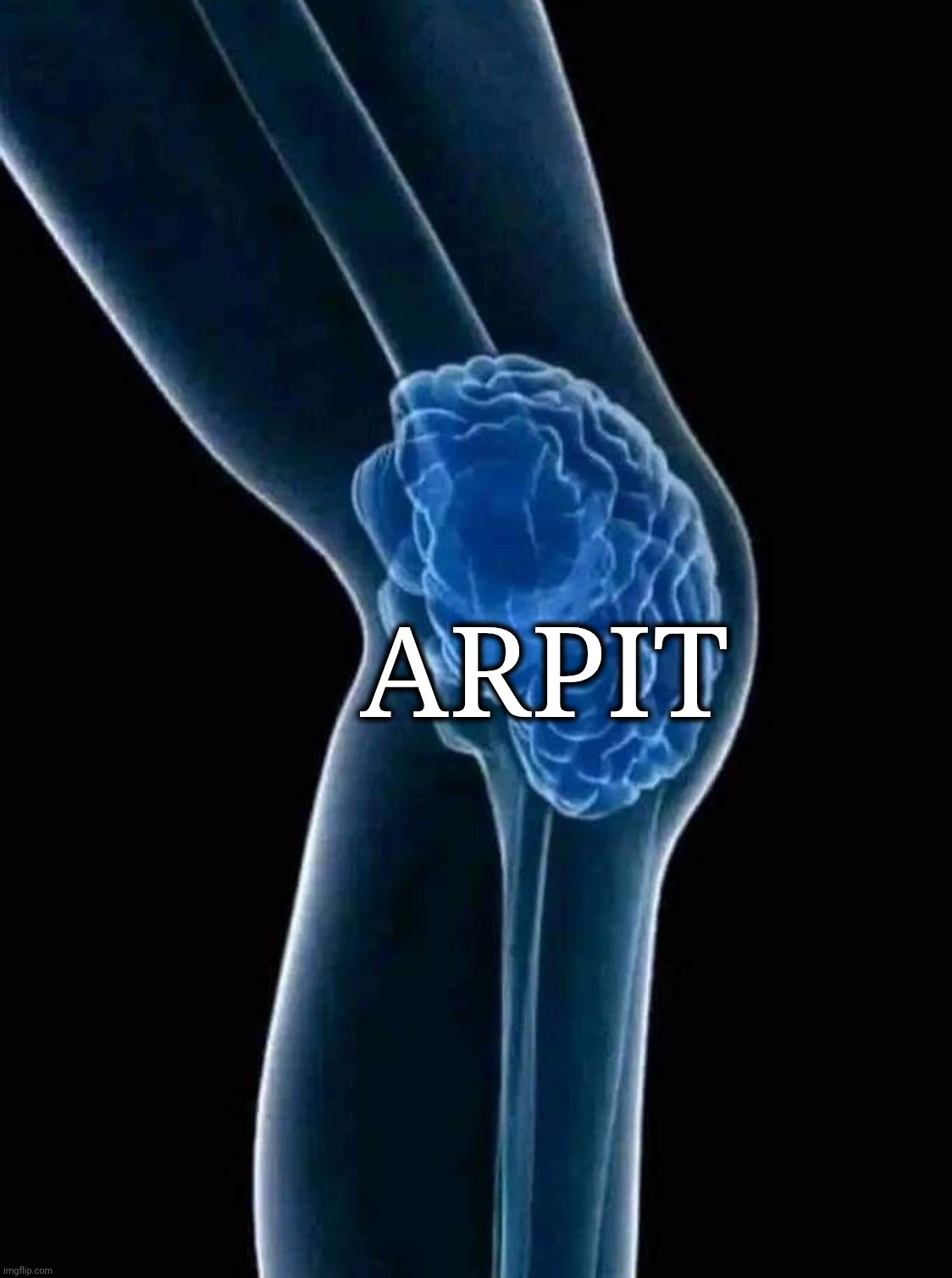 knee brain | ARPIT | image tagged in knee brain | made w/ Imgflip meme maker