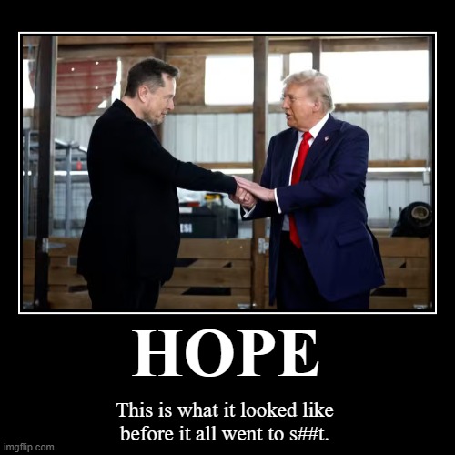 Can we go back in time? | HOPE | This is what it looked like
before it all went to s##t. | image tagged in funny,demotivationals,djt,trump,musk,elon musk | made w/ Imgflip demotivational maker
