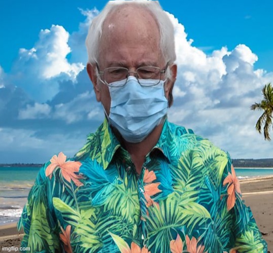 Bernie Sanders Hawaii | image tagged in bernie sanders hawaii | made w/ Imgflip meme maker
