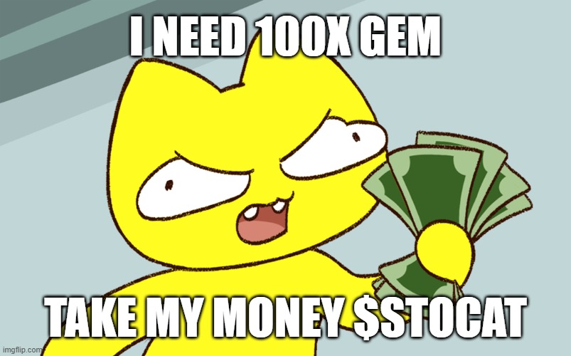 100x Gem | I NEED 100X GEM; TAKE MY MONEY $STOCAT | image tagged in stoopid cats,crypto,cryptocurrency,cats,funny cat | made w/ Imgflip meme maker