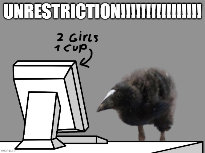UNRESTRICTION!!!!!!!!!!!!!!!! | made w/ Imgflip meme maker