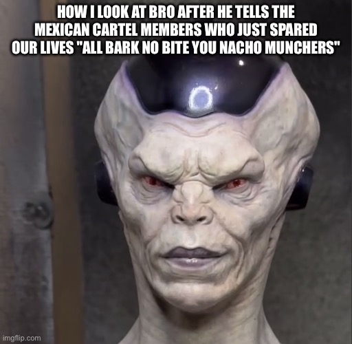 Frieza Cartel | HOW I LOOK AT BRO AFTER HE TELLS THE MEXICAN CARTEL MEMBERS WHO JUST SPARED OUR LIVES "ALL BARK NO BITE YOU NACHO MUNCHERS" | image tagged in realistic frieza | made w/ Imgflip meme maker