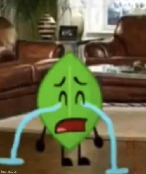 Leafy Crying | image tagged in leafy crying | made w/ Imgflip meme maker