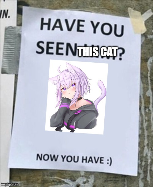Look at her | THIS CAT | image tagged in have you seen him now you have,cat,vtuber | made w/ Imgflip meme maker