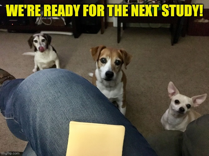 3 Beggers | WE'RE READY FOR THE NEXT STUDY! | image tagged in 3 beggers | made w/ Imgflip meme maker