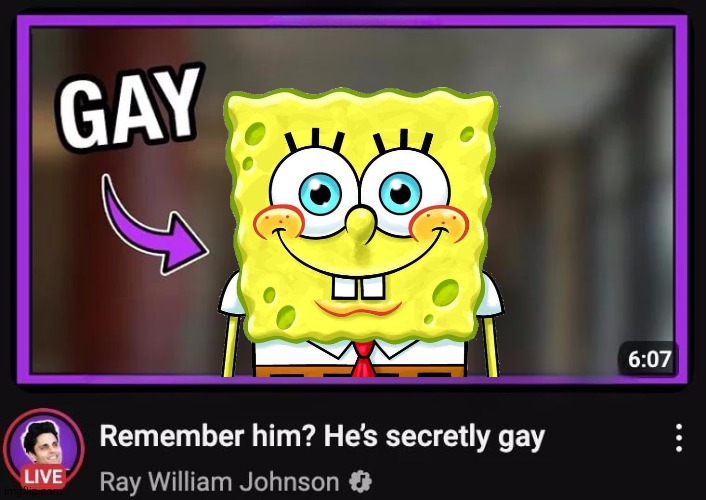 Guys why am i in a rwj vudeo???? | image tagged in remember him he s secretly gay | made w/ Imgflip meme maker