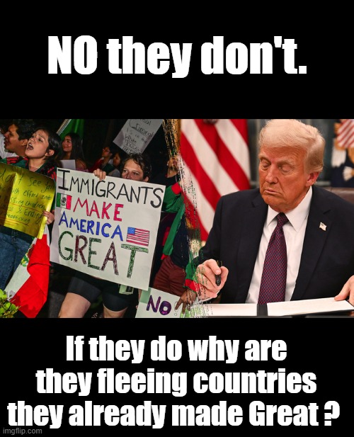 Saying immigrants make a country great is not logical. Why are they fleeing thier own countries then? Do not except the BS lie. | NO they don't. If they do why are they fleeing countries they already made Great ? | made w/ Imgflip meme maker