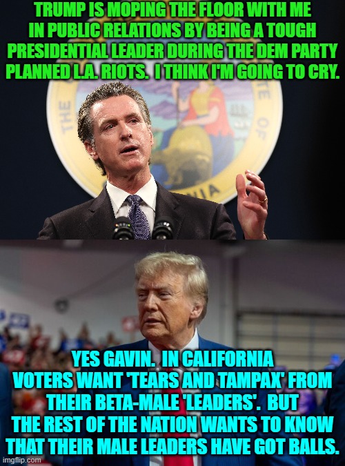 This has got to be so CONFUSING for the average leftist 'male'. | TRUMP IS MOPING THE FLOOR WITH ME IN PUBLIC RELATIONS BY BEING A TOUGH PRESIDENTIAL LEADER DURING THE DEM PARTY PLANNED L.A. RIOTS.  I THINK I'M GOING TO CRY. YES GAVIN.  IN CALIFORNIA VOTERS WANT 'TEARS AND TAMPAX' FROM THEIR BETA-MALE 'LEADERS'.  BUT THE REST OF THE NATION WANTS TO KNOW THAT THEIR MALE LEADERS HAVE GOT BALLS. | image tagged in yep | made w/ Imgflip meme maker