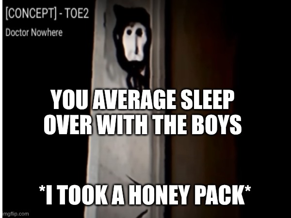 average sleepover with the boys | YOU AVERAGE SLEEP OVER WITH THE BOYS; *I TOOK A HONEY PACK* | image tagged in sleepover | made w/ Imgflip meme maker