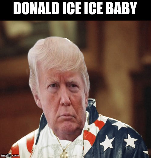 DONALD ICE ICE BABY | image tagged in donald trump,trump immigration policy,illegal immigration,mexicans,california | made w/ Imgflip meme maker