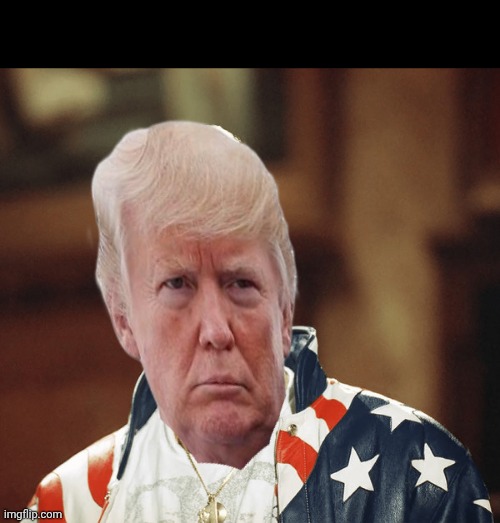 Ice ice baby | image tagged in donald trump,illegal immigration,president trump,vanilla ice | made w/ Imgflip meme maker