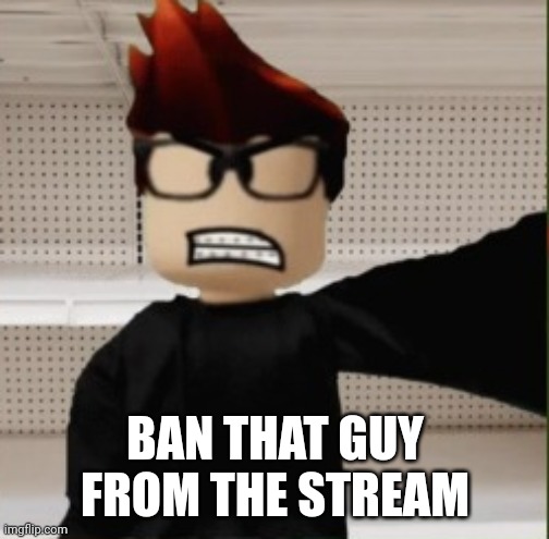 MC selfie (angry reaction) | BAN THAT GUY FROM THE STREAM | image tagged in mc selfie angry reaction | made w/ Imgflip meme maker