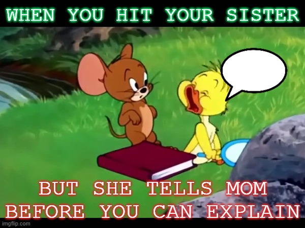 sister 's damadge | WHEN YOU HIT YOUR SISTER; BUT SHE TELLS MOM BEFORE YOU CAN EXPLAIN | image tagged in comedy | made w/ Imgflip meme maker